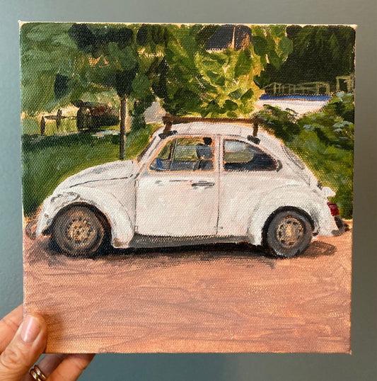 Sayulita VW