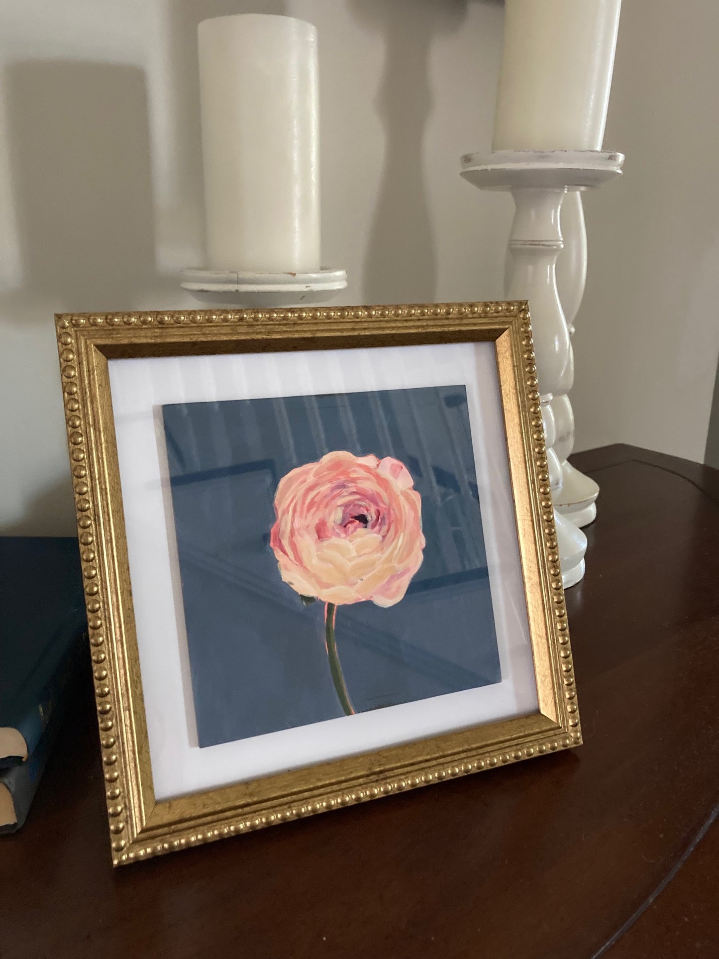 Pink Ranunculus